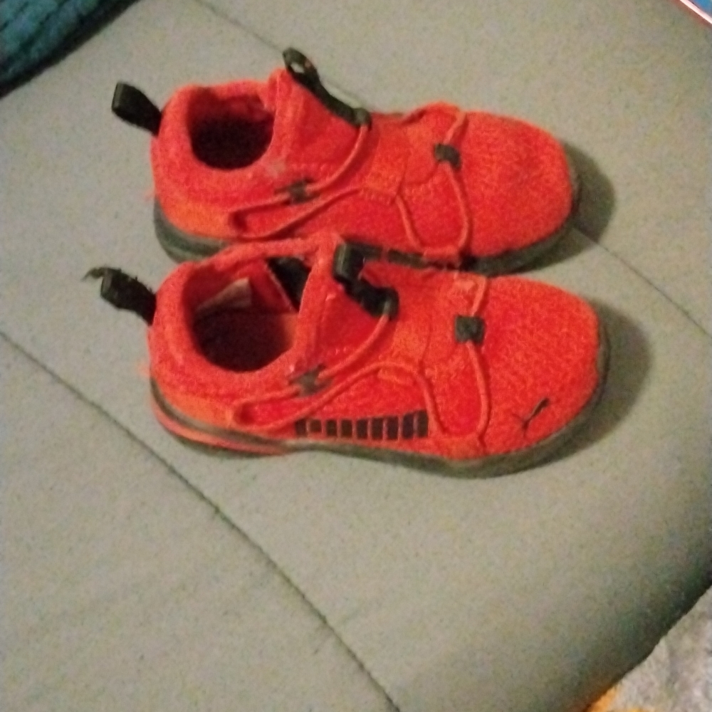 Toddler Puma shoes